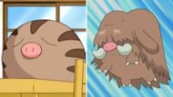 Swinub and Piloswine, as seen in the anime (Image via Sportskeeda || The Pokemon Company)
